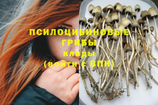 меф Армянск