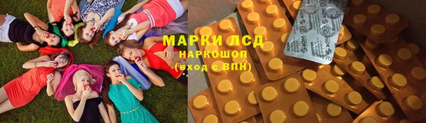 ПСИЛОЦИБИНОВЫЕ ГРИБЫ Арсеньев