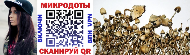 Галлюциногенные грибы мицелий  Аша 